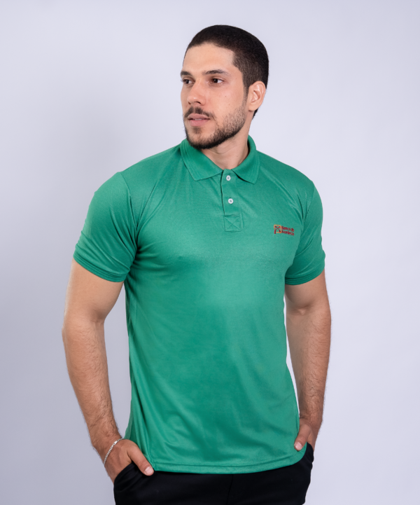 Camiseta Polo Banco do Nordeste na cor Verde Bandeira com símbolo bordado na cor Vinho - Imagem 2